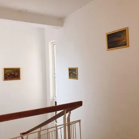 Guest house Tito Navodari